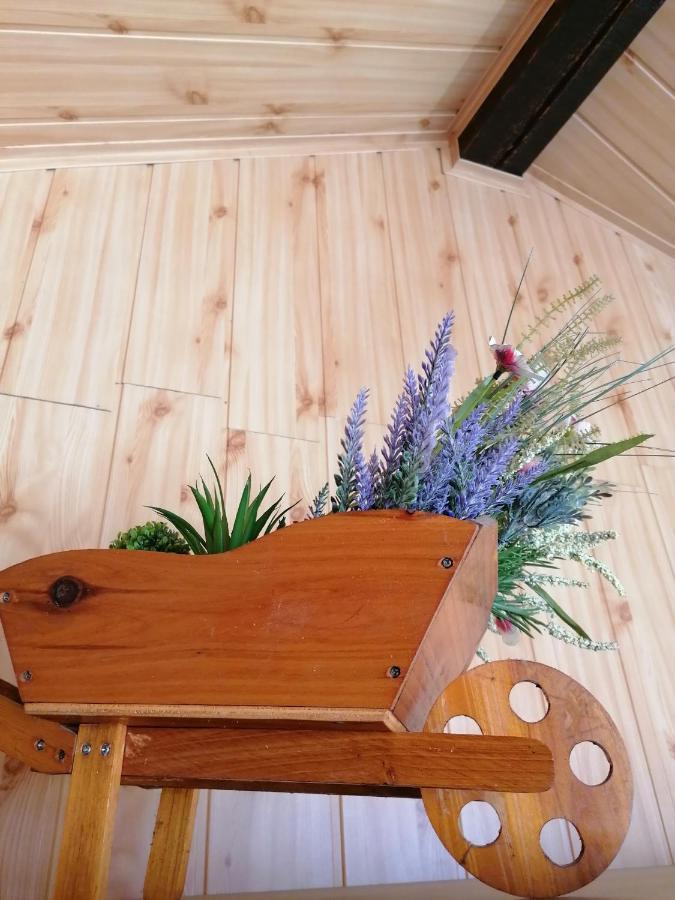 Cozy Attic Studio Brasov Luaran gambar